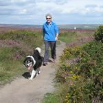 Walks on local moorland